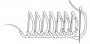 Buttonhole stitch.