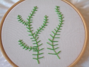 Example of the fern stitch.