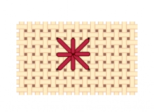 Schematic drawing of a star stitch.