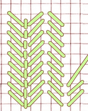 Schematic drawing of a broad stem stitch.