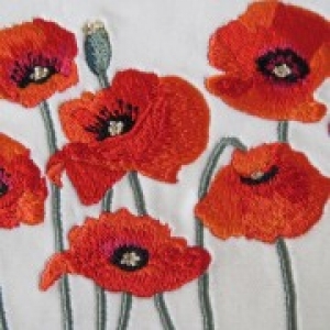 Hand &amp; Lock poppy tribute, 2014.