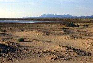 The ancient site of Berenike, Egypt.