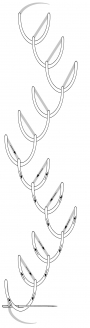 Schematic drawing of the double feather stitch.