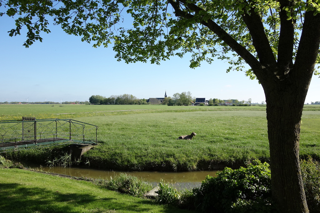 View of the village of Schettens from the farmhouse of the Scheepsma family. Akke would have seen the same view every day that she lived on the farm. Photograph by Gillian Vogelsang, 29 May 2021.