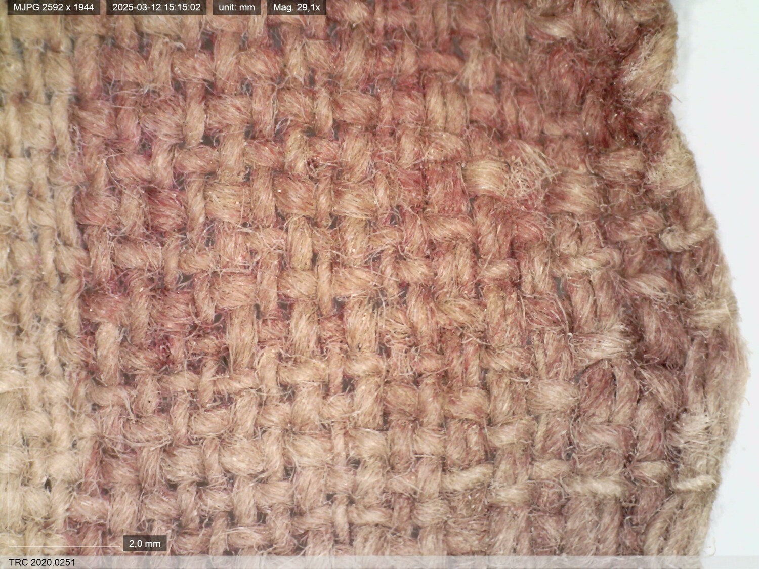 Fragment of TRC 2020.0251, magnification 29.1x. The photograph shows the spin direction, weave structure and selvedge with five paired warps.