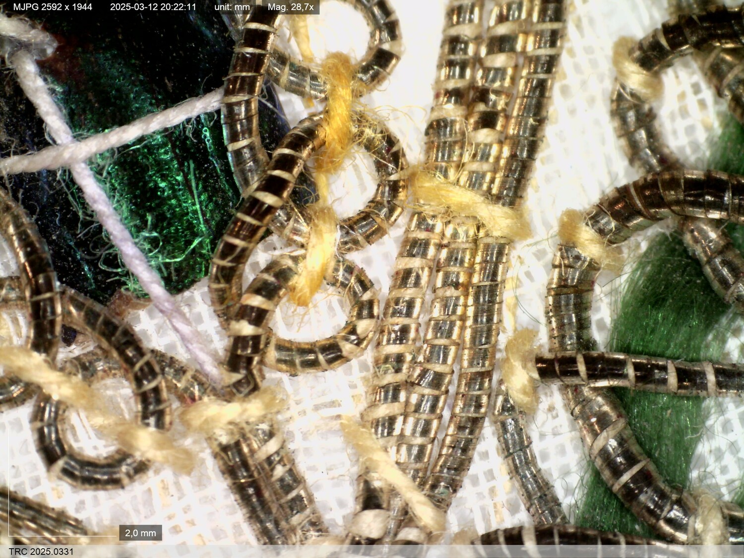 Dino-Lite image of fragment of TRC 2025.0331a, magnification 28.7x. The photograph shows details of the gold-thread embroidery and the beetle-wing casing.