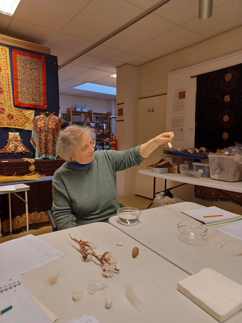 Gillian holding cocoon by its silk thread. In the background the exhibition on the wall, and the library in the distance. Photograph by author.