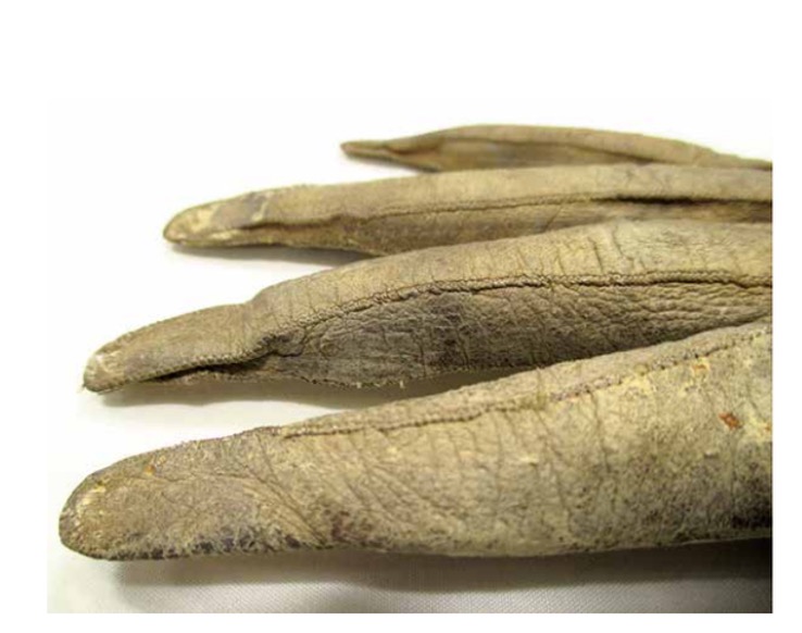 Fig 4: Elongated fingertips on 17th-century glove (Willemsen, p.15).