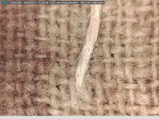 TRC 2020.0234 on 40x magnification.