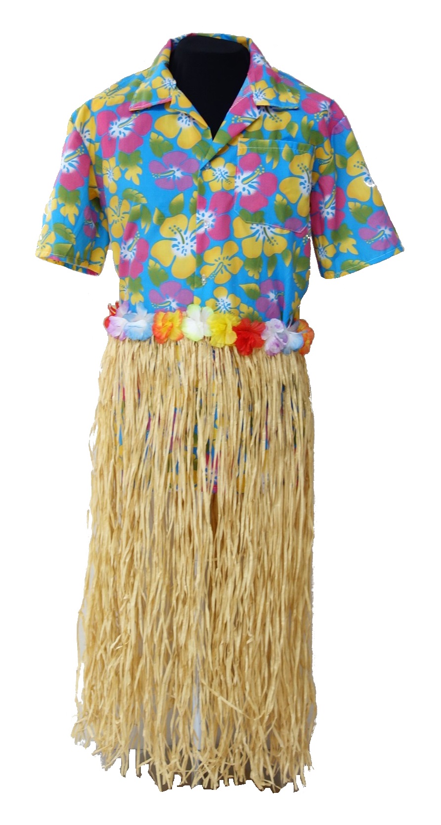 Carnival's outfit from The Netherlands (TRC 2020.0392a-b).