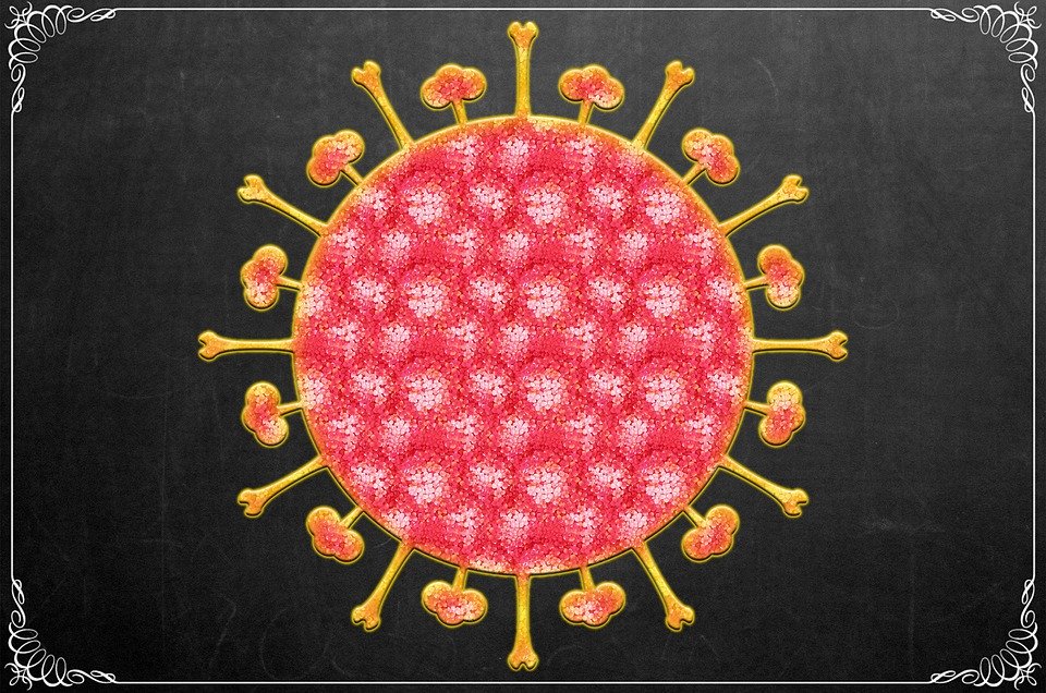 Photograph of an embroidery depicting a Covid-19 capsid; https://pixabay.com/nl/illustrations/coronavirus-corona-crona-covid-19-4882294/